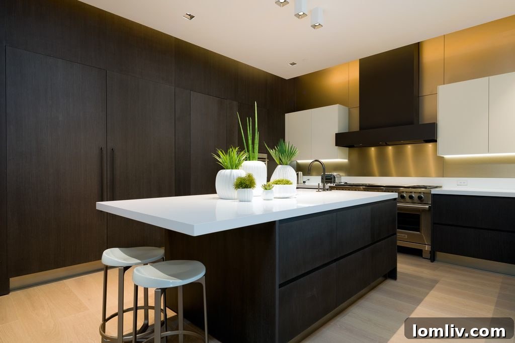 Gourmet Kitchen with Luxury Appliances