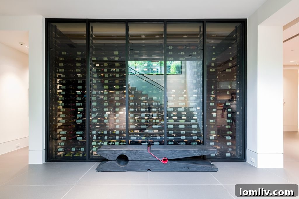 Modern Wine Cellar Display