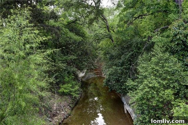 Overhead view or wider shot of the backyard and the back of the cottage, providing a comprehensive sense of the property.