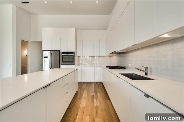 Sleek Modern Kitchen Dallas Condo