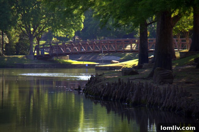 Hoebeke Builders Site Plan Farmers Branch