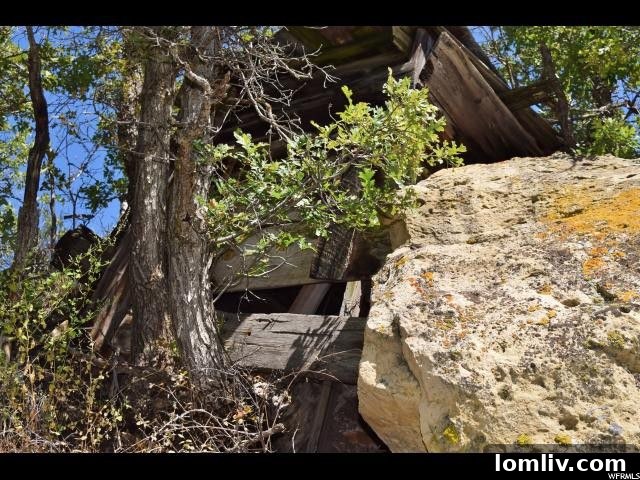 Ruined structure in the abandoned Maple Creek Mine ghost town, showcasing decay