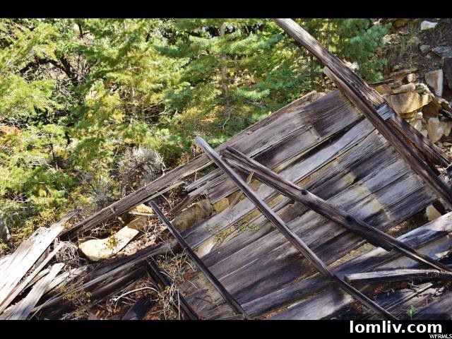 Nature reclaiming abandoned buildings at Maple Creek Mine, showing resilience