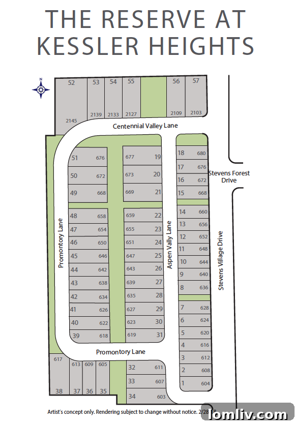 Reserve at Kessler Heights overall site plan and layout