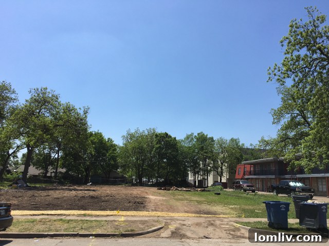 Development sites on the southern side of 9th Street in North Oak Cliff