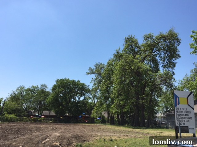 Lots owned by Urban Genesis on the southern side of 9th Street for townhome development