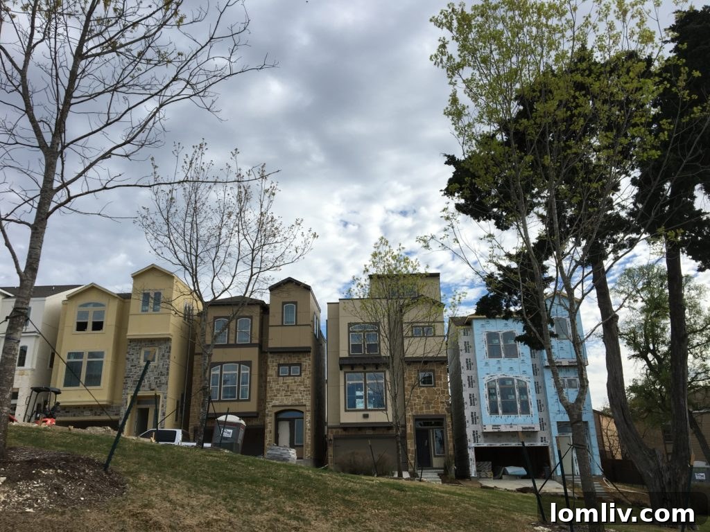 Construction progress at David Weekley's HighGrove development a few weeks prior