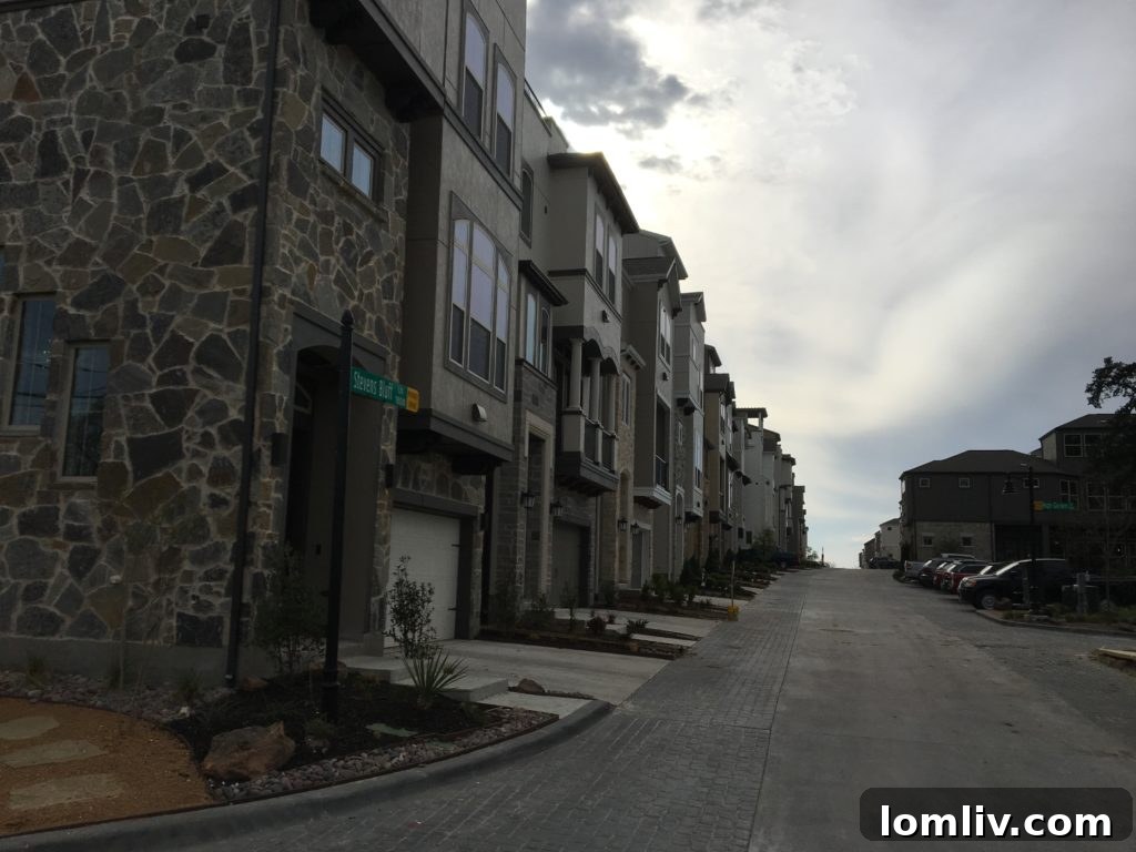 Internal streetscape within David Weekley's HighGrove complex, designed for community