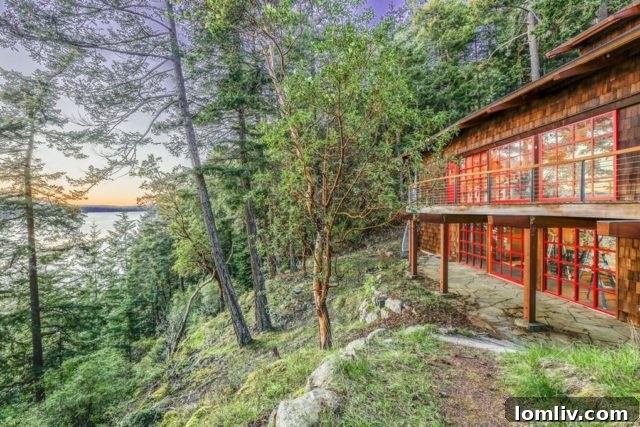 A charming wooden bridge over a stream in the forested grounds of Madroneagle Estate.