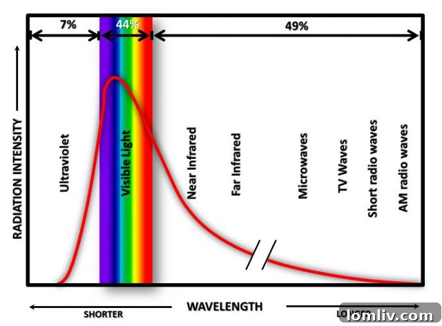 Invisible Power Transparent Solar Windows Redefine Energy 4 Window-Cross-section-1