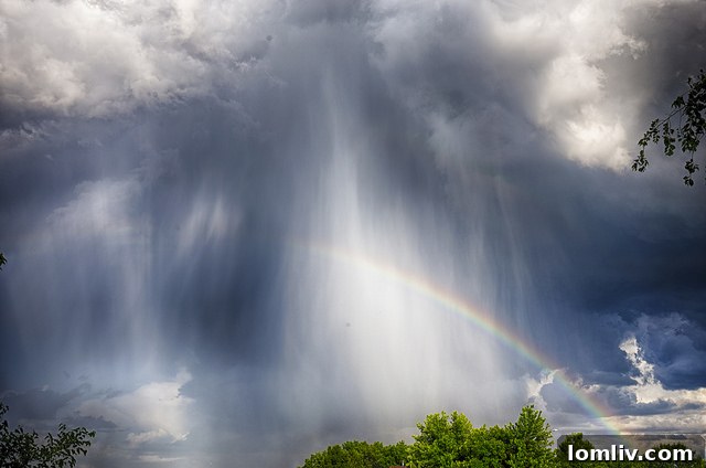 Remove the Rainbows Reveal Your Authentic Self 2 Flickrcredit_PatrickEmerson
