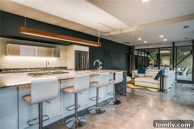 Sleek Modern Kitchen Design