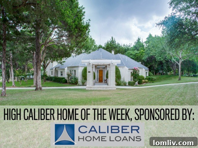 Stunning Contemporary Home in Wildwood, Cedar Hill, TX