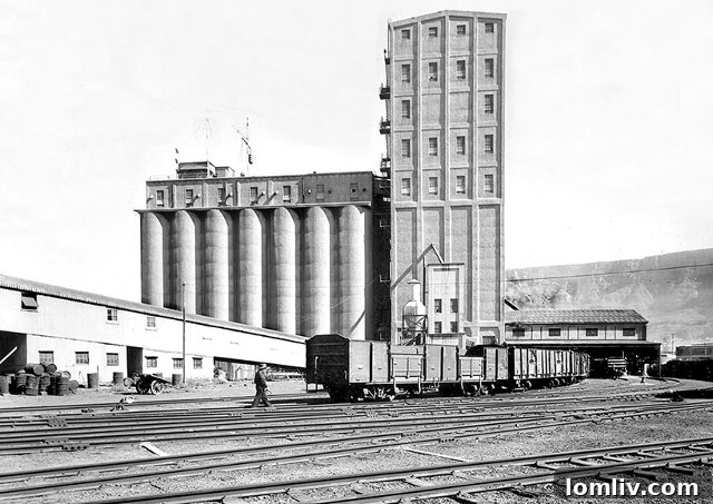 Undated photo of the original grain silo complex at V&A Waterfront, Cape Town, with Table Mountain in the background.