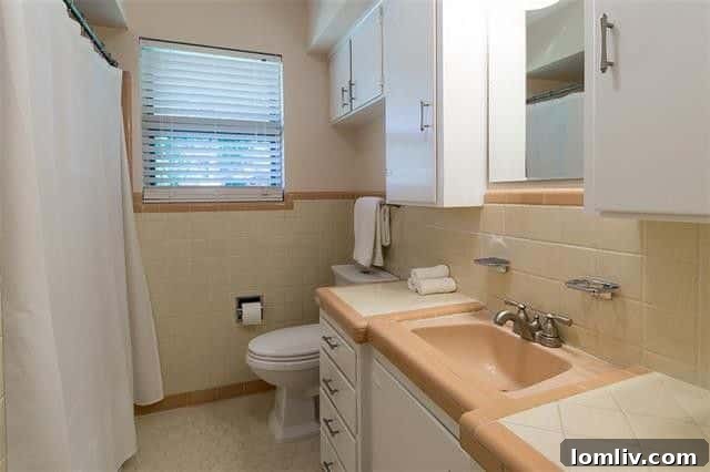 700 Palmer Place, Richardson Heights Home Backyard Patio