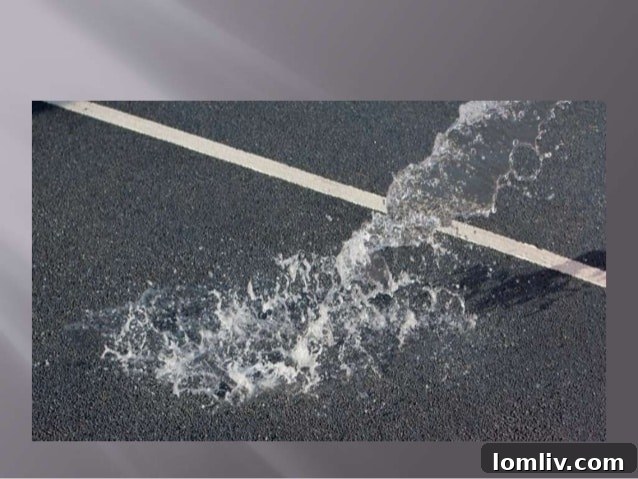 Permeable Concrete in action, water disappearing