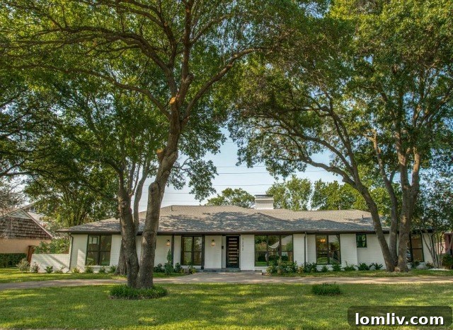 Modern transitional exterior of 5232 Meadow Crest Dr, a beautifully remodeled home.