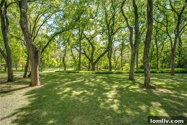 Bluffview's Private 2-Acre Urban Sanctuary 7 Lush two-acre estate featuring abundant mature trees providing serene shady areas throughout the property