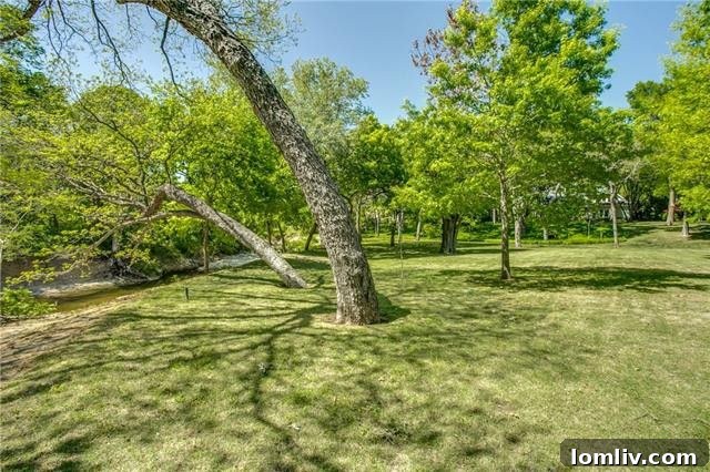 Bluffview's Private 2-Acre Urban Sanctuary 8 Natural beauty of the Bachman Branch creek gracefully flowing through the private estate