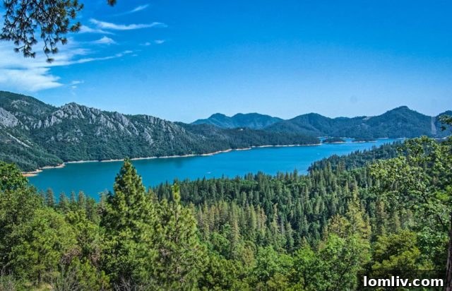 Panoramic view of Lake Shasta, a luxurious lakefront home, ideal for a Splurge investment.