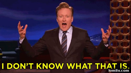 Oak Park Illinois Home Listing Features Extensive Rant Against Officials 5 img 400215 5