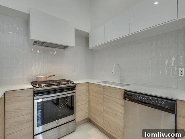 Modern Faucet and Kryon Countertops in Renovated Kitchen