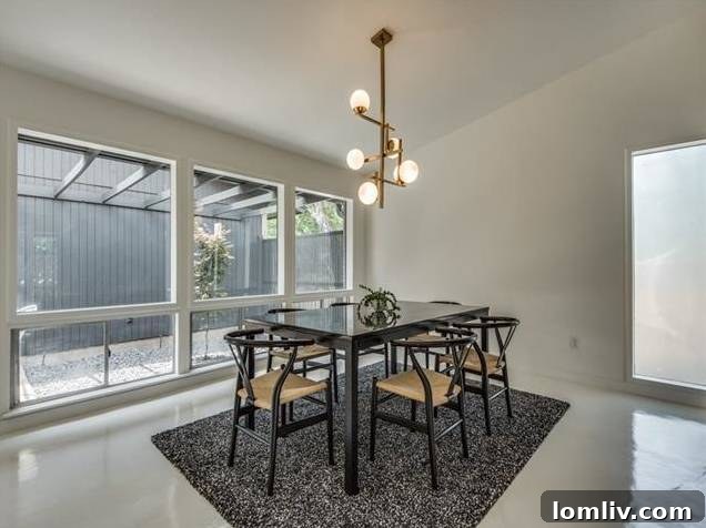 Sleek, Remodeled Midcentury Kitchen with European Cabinetry