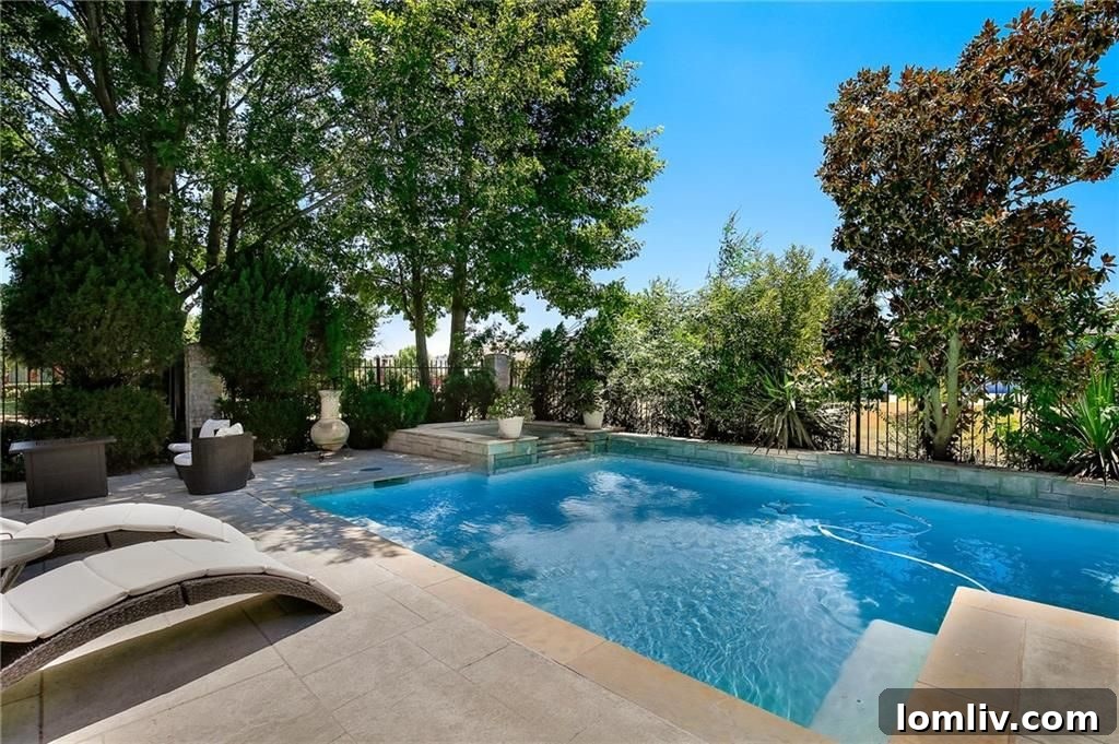 Plano Home Exterior and Backyard