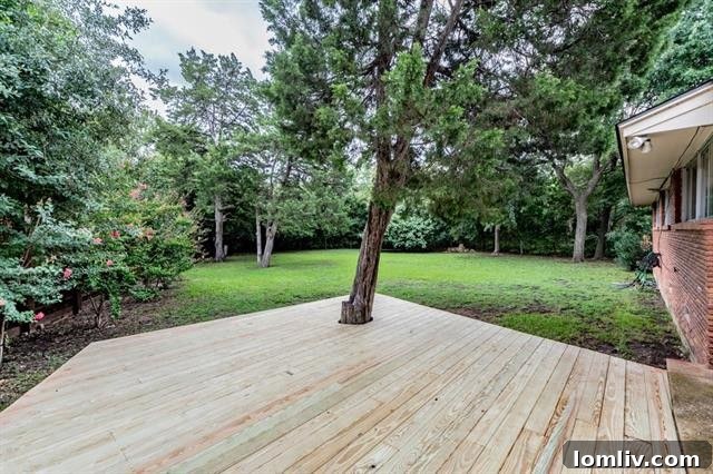 Spacious Backyard Dallas Home