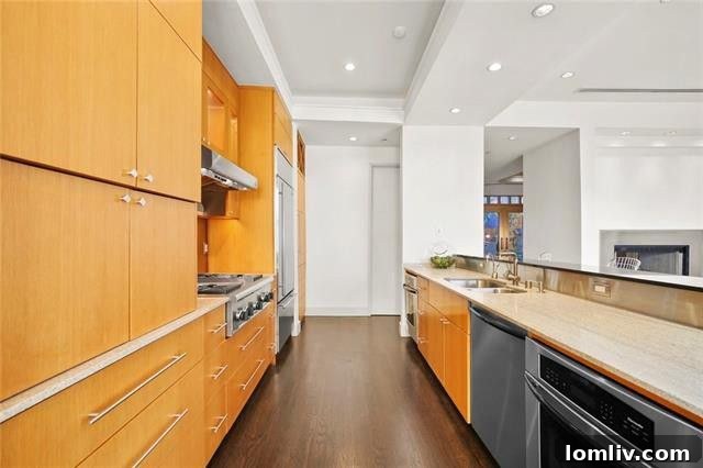 Luxury Modern Townhome Dallas - Modern Kitchen View