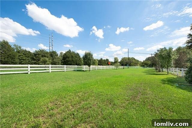 Outdoor patio area perfect for entertaining at the Dallas modern farmhouse
