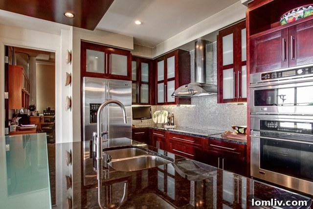 Montgomery Plaza condo gourmet kitchen detail