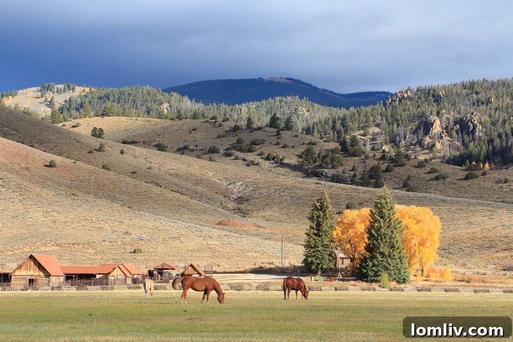 Panoramic view of the Taylor River valley and surrounding mountains at Wilder on the Taylor