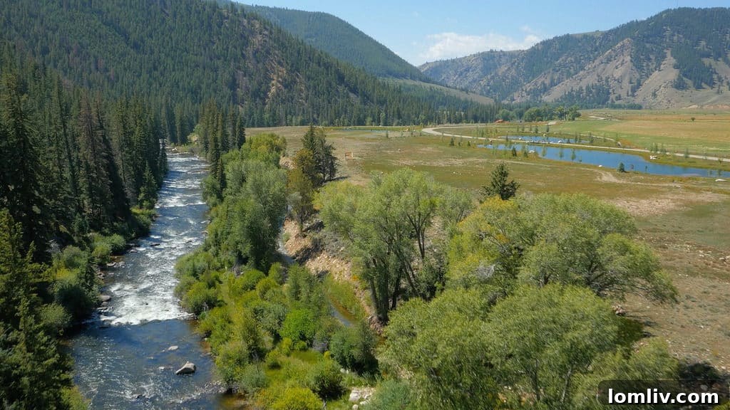 Close-up of the pristine Taylor River flowing through the Wilder ranch landscape