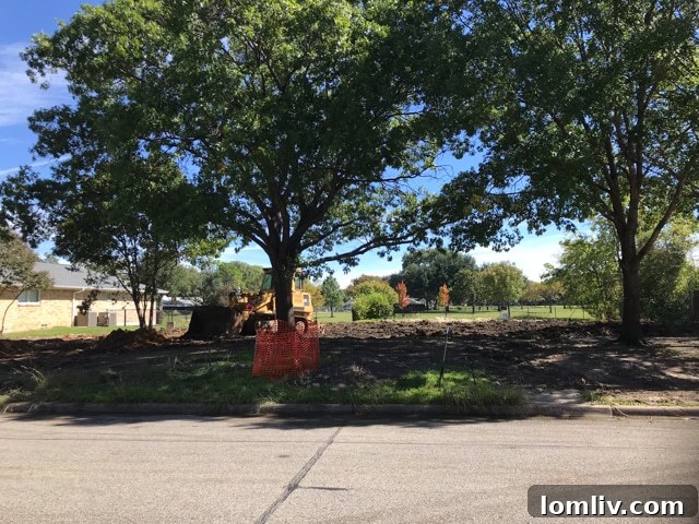 Farmers Branch Demo Rebuild Program Benefits