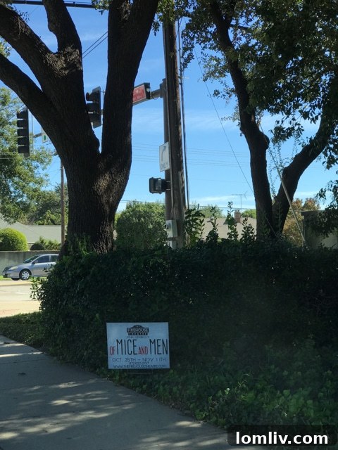 Farmers Branch Culture and Arts