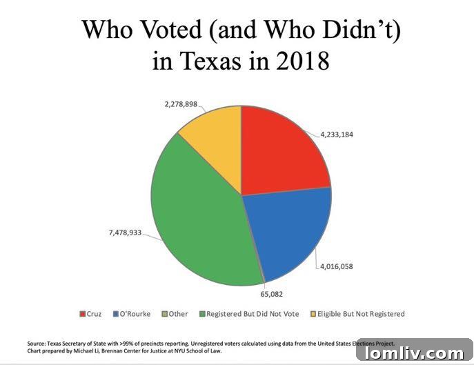 HD-108's Tight Race: Awaiting the Decisive Final Tally 3 Dallas County Election Analysis