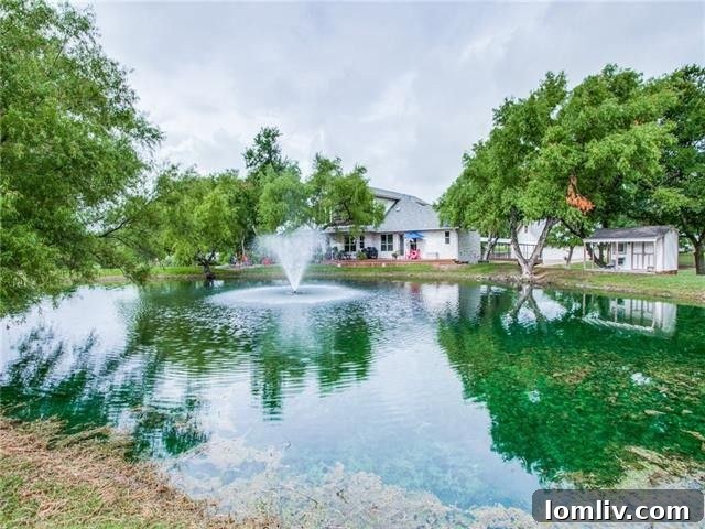Picturesque Pond and Lush Greenery in Sachse