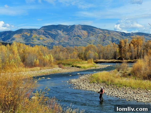 Screen-Shot-2018-12-04-at-2.53.44-AM