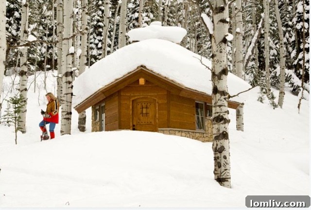 Screen-Shot-2018-12-04-at-2.53.44-AM