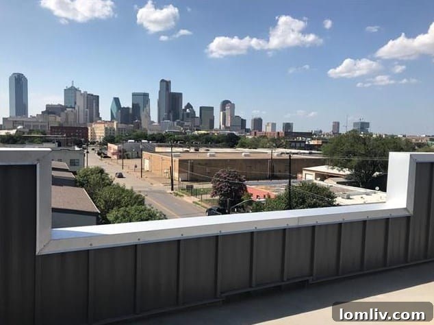 Discover Your Downtown Dallas Home: Three Open Houses Await 9 Rooftop Deck with Panoramic Downtown Dallas Views