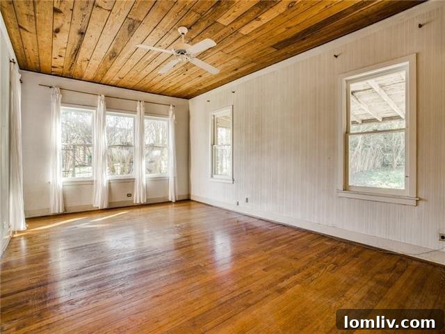 Lush Backyard and Mature Trees - Dallas Real Estate