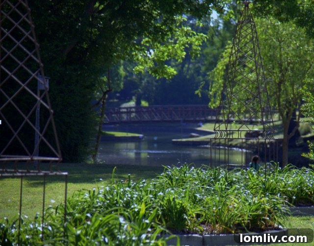 Screen-Shot-2019-01-17-at-9.14.15-AM