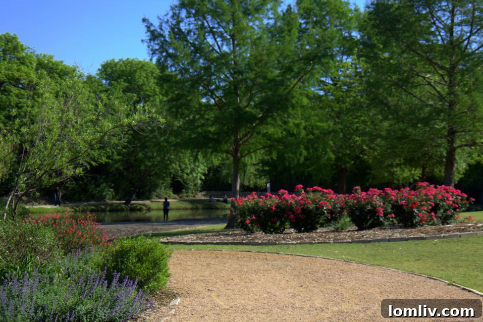 Screen-Shot-2019-01-17-at-9.14.15-AM