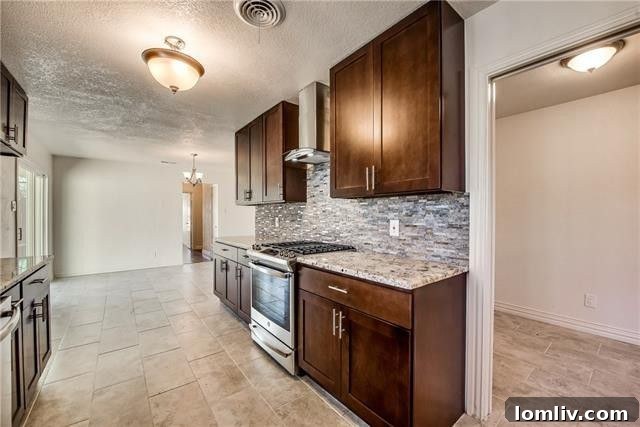 Modern Galley Kitchen with Gas Stove in Dallas