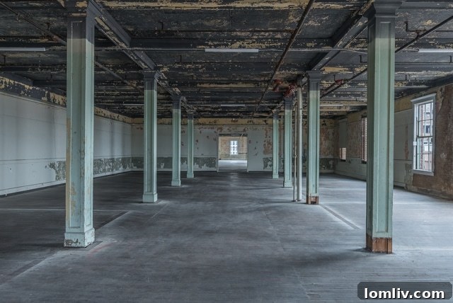 The impressive facade or a key interior feature of the Historic Purse Building after its comprehensive restoration, beautifully blending Dallas' rich history with contemporary style and commercial appeal.