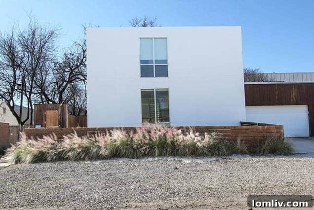 VECT2207-Ashby-HCHOTW