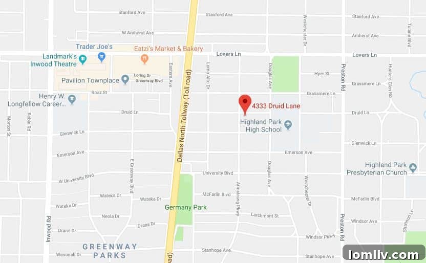 Lush green backyard with mature trees