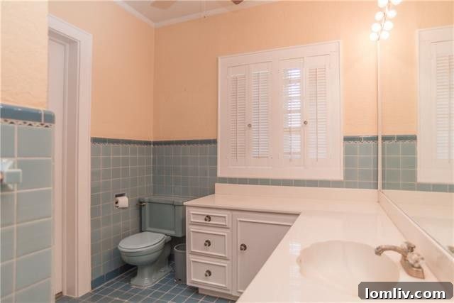 Iconic pink master bathroom from the 1960s in Dublin Tudor