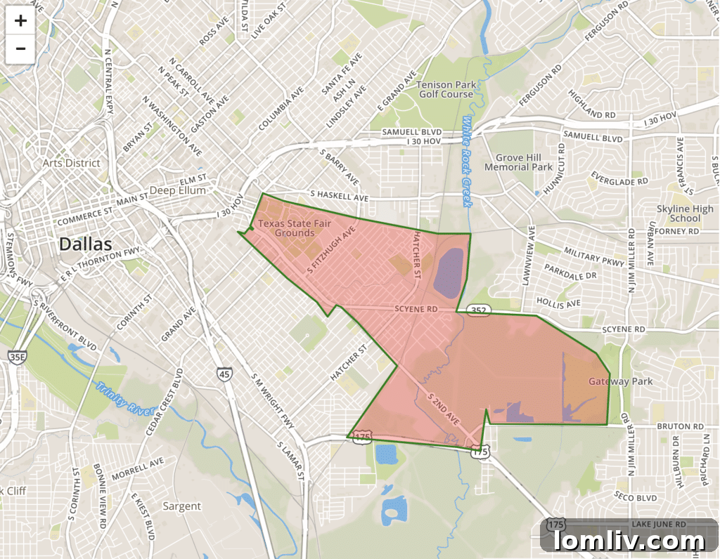 Dallas Zip Code 75210 Overview